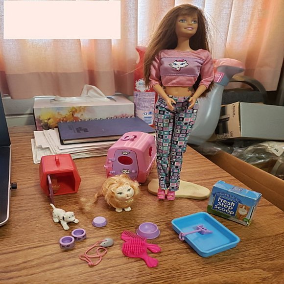 Like New Retired 2000 Kitty Fun Barbie - Picture 2 of 2